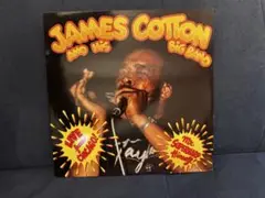 James Cotton Live at Biddy Mulligan's LP
