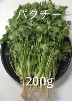 パクチー 香菜 コリアンダー 200g
