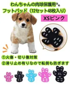 Item thumbnail for item 23a1b8a2-3607-4d61-a01b-6684fdf892d8