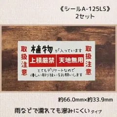 《シールA-125LS》ケアシール 60片×2セット