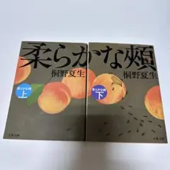 柔らかな頬 上下巻セット 桐野夏生