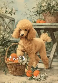 1204 オリジナル アニマルステッカー 動物 プードル オレンジ 4枚