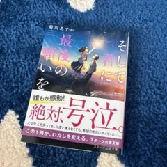そして君に最期の願いを
