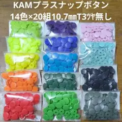 Item thumbnail for item bdf4e388-c615-4d24-a3ff-fc00f6c1c04b