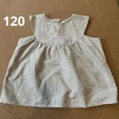 riziere☆120