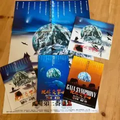 2025年最新】星野道夫 ポスターの人気アイテム - メルカリ