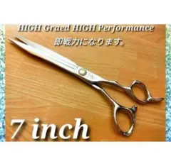 Item thumbnail for item ce0396b2-5be1-4a26-9e69-74e77b7f25a8