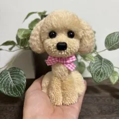 動物ぽんぽん　トイプードル　ベージュ
