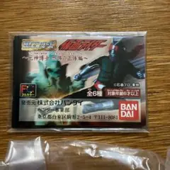 MEDICOM TOY - ムササビードル(新色)+ミニソフビ (仮面ライダーより)