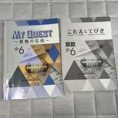 マイクエスト　算数の完成小6 ￼
