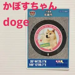 2025年最新】かぼすちゃん 柴犬の人気アイテム - メルカリ