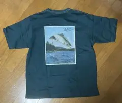 L.L.BEAN 1980SSCatalogTrout-T-shirtstシャツ