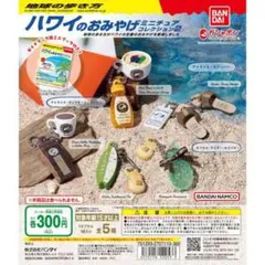 地球の歩き方 ハワイのおみやげミニチュアコレクション2 2点