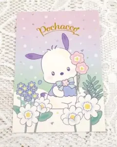 ポチャッコ　サンリオキャラクターズ　カード