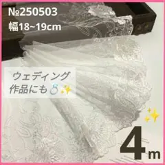 №250503 チュールレース