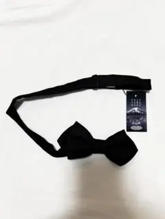 Item thumbnail for item f5f12827-ae75-48ac-8308-c2209fef2f71