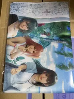 Venus Vacation PRISM お宝倉庫 予約特典 B2布ポスター Venus Vacation PRISM DEAD OR ALIVE Xtreme」店舗特典＆商品