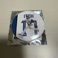 ファイターズ ブラインド缶バッジ第4弾 伊藤大海