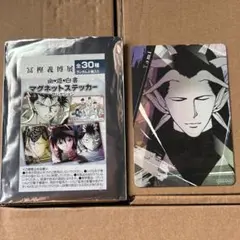 幽☆遊☆白書 マグネットステッカー 黄泉
