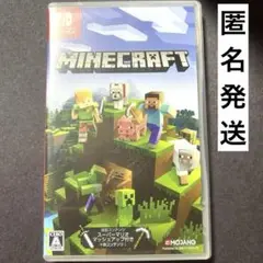 Minecraft Nintendo switch ソフト