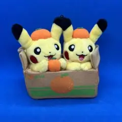 ピカチュウペアぬいぐるみ　愛媛　えひめみかん ペアピカチュウとえひめみかん ぬいぐるみ 愛媛みかん えひめ