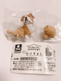 アニマルアトラクション また、なりすまし ブルドッグ ゴールデンレトリバー