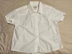 Item thumbnail for item 7a48f46b-eb31-4a1f-9613-eb46cfa4f49e
