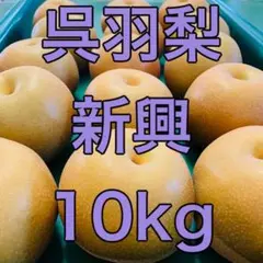 呉羽梨 新興 10kg 037