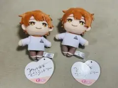 みなと商事コインランドリー ピこぬい 湊晃 ぬいぐるみ　２個セット