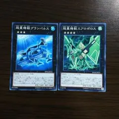 遊戯王【超量機獣グランパルス、エアロボロス】２枚セット