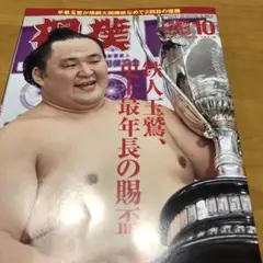 相撲 2022年10月秋場所総決算号