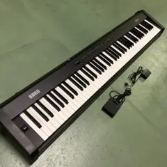 2025年最新】コルグ SP-100の人気アイテム - メルカリ