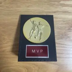 MVP ゴールドトロフィー サッカー