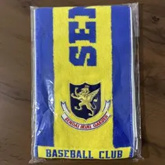 【甲子園】仙台育英 野球部 タオルマフラー