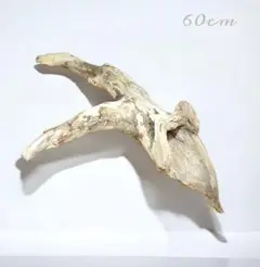 Item thumbnail for item f242ac26-9f09-4cb3-aa87-f20bfdc65b1e