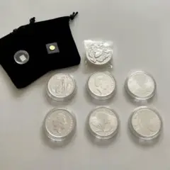 ✨純金✨純銀✨希少ライオン 銀貨1オンス6枚、3オンス1枚 K24金 999銀