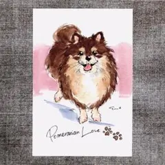 イラスト 原画 ポストカード 絵 【ポメラニアン】119
