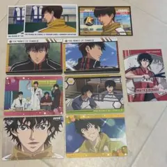 柳蓮二 切原赤也 ステッカー カードセット