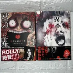 黒異本　　迷うは君の世界　　2冊