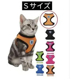 Item thumbnail for item a28ebf3a-267b-4a98-a156-f9b77dd4ba79