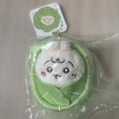 Item thumbnail for item 45776713-252b-498c-8297-6a3a0ea9c983