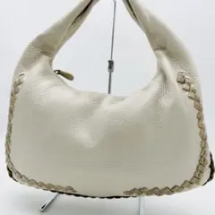 ✨極美品✨ボッテガヴェネタ パイソン イントレチャート ワンショルダーバッグ