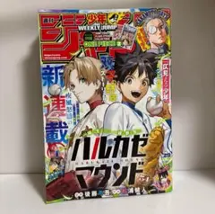 .週刊少年ジャンプ 2025年6月30日号 29号 no.29 チケット付き