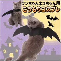 Item thumbnail for item 86a399dc-13ed-411b-8062-89801ee7f620