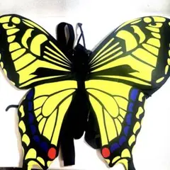 昆虫リュック アゲハ蝶