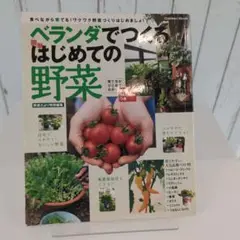 ベランダでつくる簡単はじめての野菜