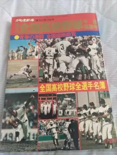 週刊ベースボール 第59回全国高校野球予選展望号