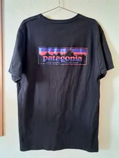 patagonia バックプリント Tシャツ XL