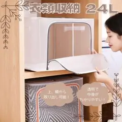 収納 24L 自立 透明 折りたたみ 2個セット 袋