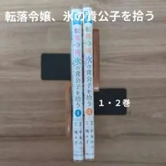 転落令嬢、氷の貴公子を拾う１・２巻